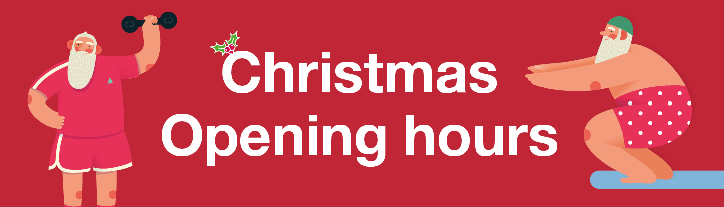 Christmas banner 2023